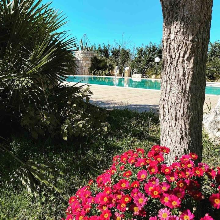 Pugliaholidayplus - Villa Cassano بولينيانو آ ماري المظهر الخارجي الصورة
